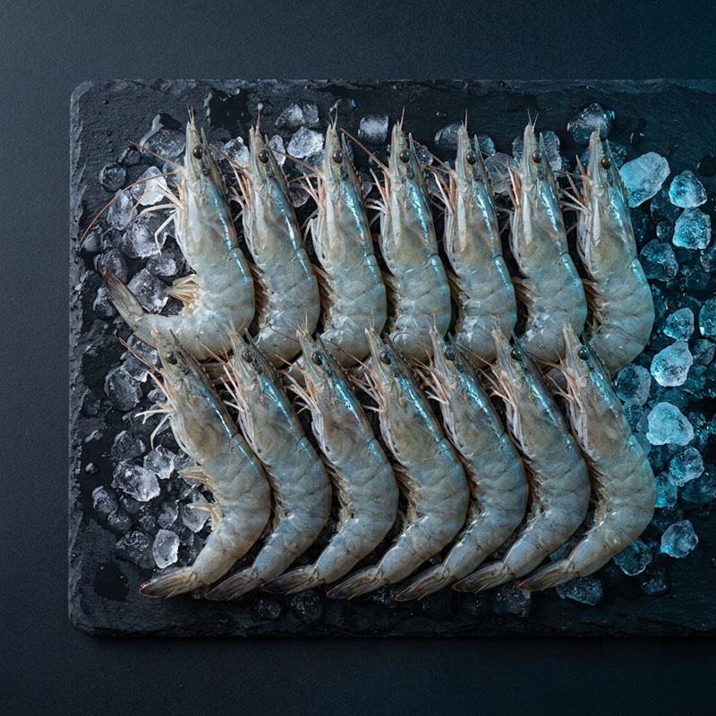 Two rows of raw whole shrimp arranged on a bed of ice on a dark slate platter